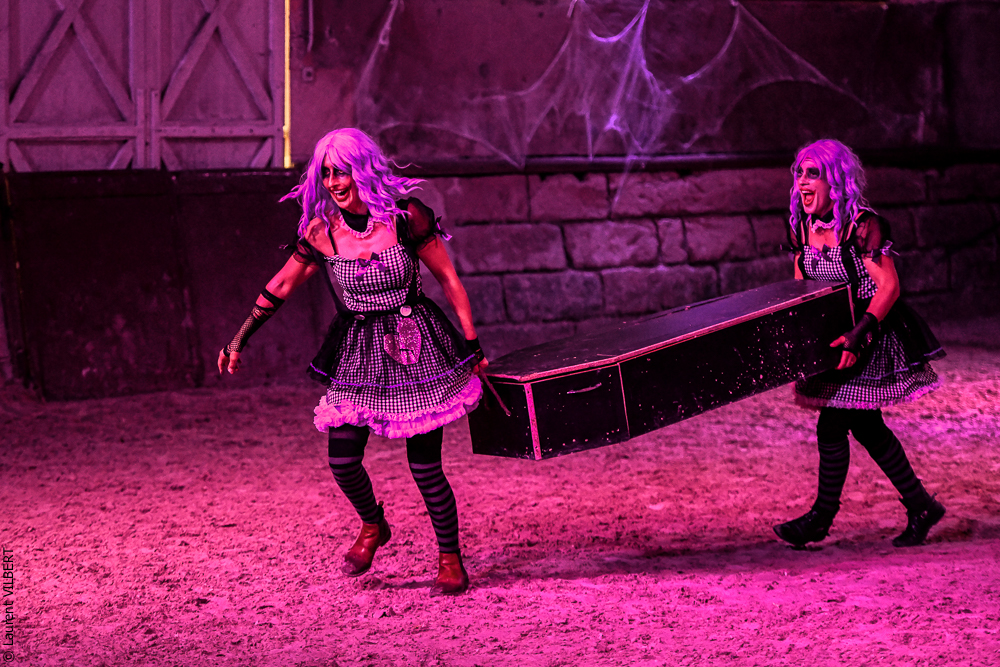 Haras Pin 20221103-0889