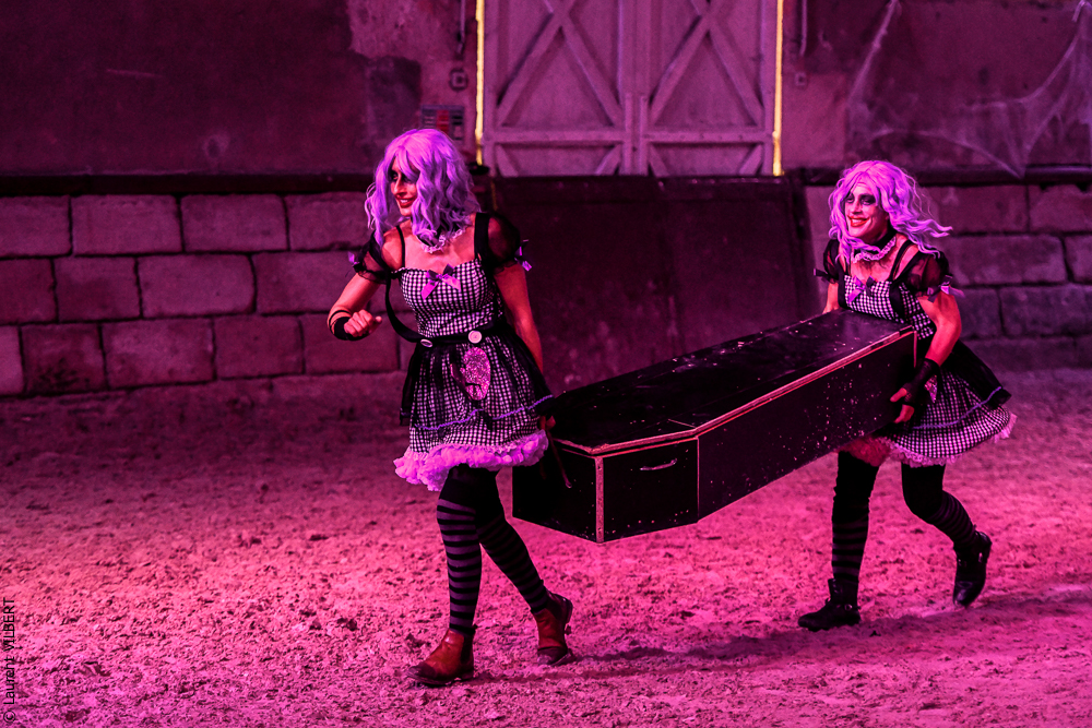 Haras Pin 20221103-0892