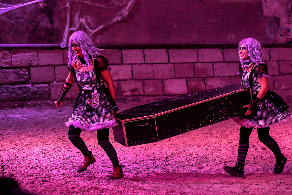 Haras Pin 20221103-0897