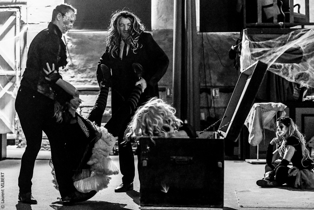 Haras Pin 20221103-0951