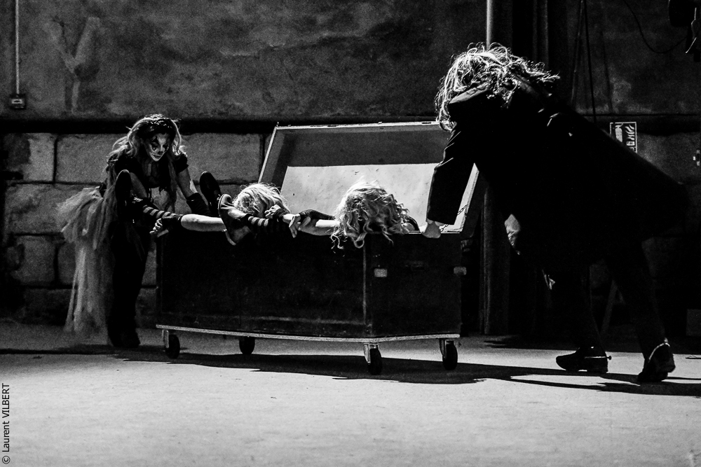 Haras Pin 20221103-0956