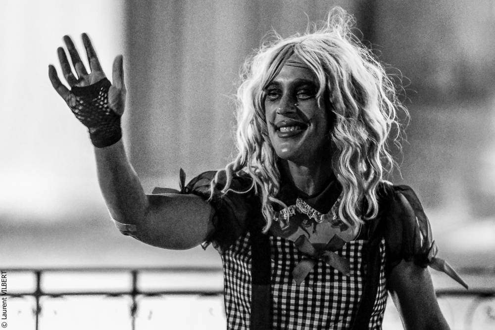 Haras Pin 20221103-2018