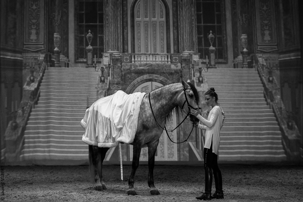 Haras Pin 20221103-0186