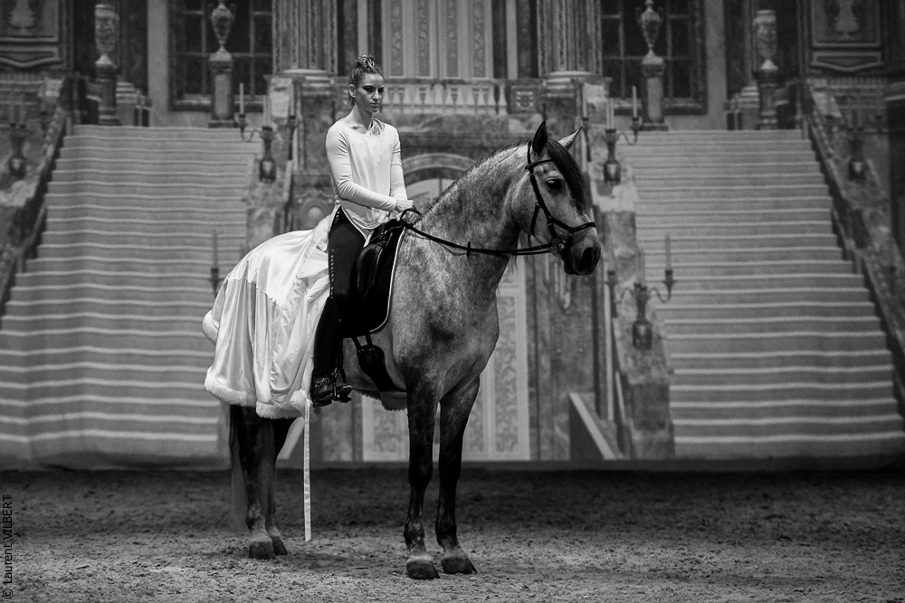 Haras Pin 20221103-0198