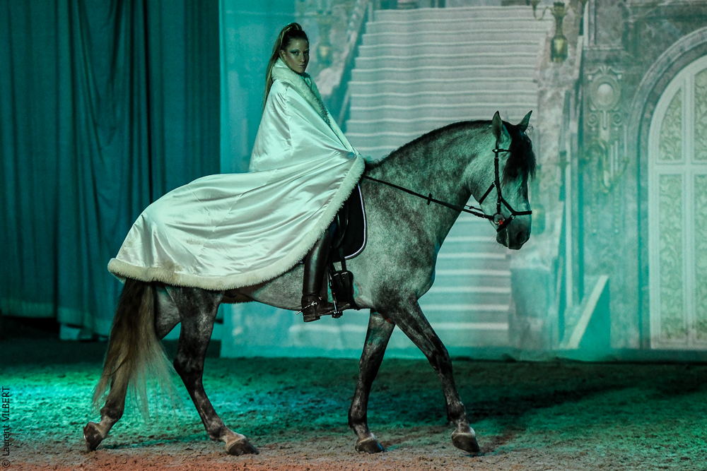 Haras Pin 20221103-0292