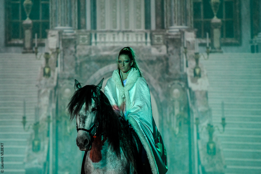 Haras Pin 20221103-0295