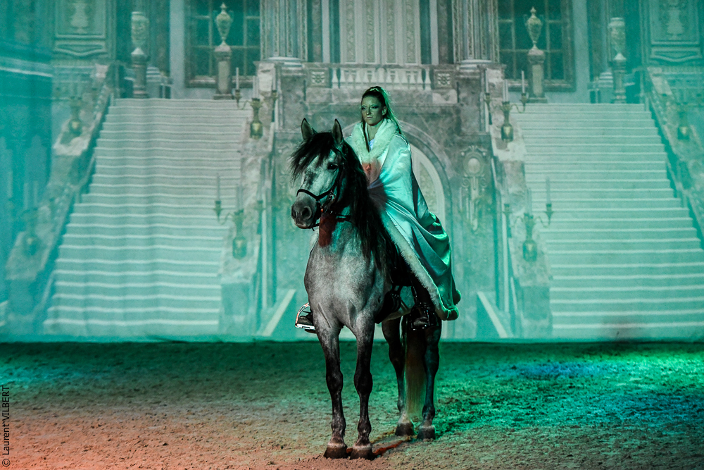 Haras Pin 20221103-0296