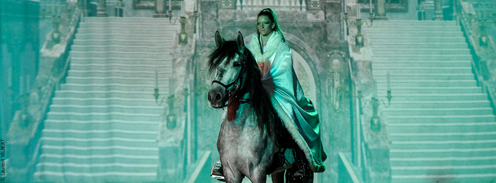 Haras Pin 20221103-0296