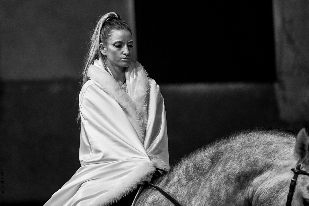 Haras Pin 20221103-0328