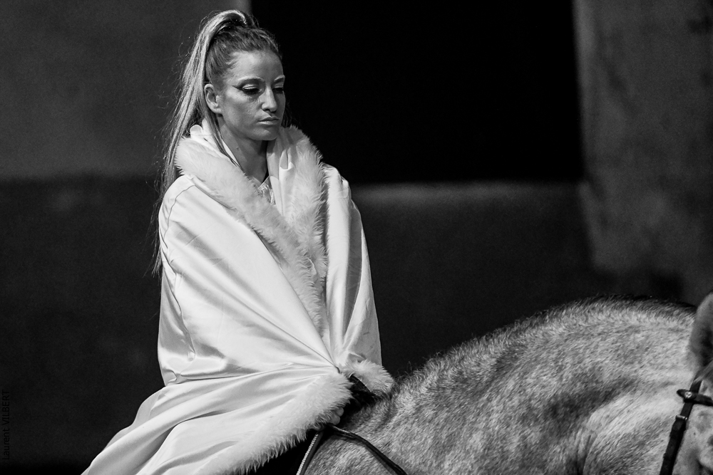 Haras Pin 20221103-0329