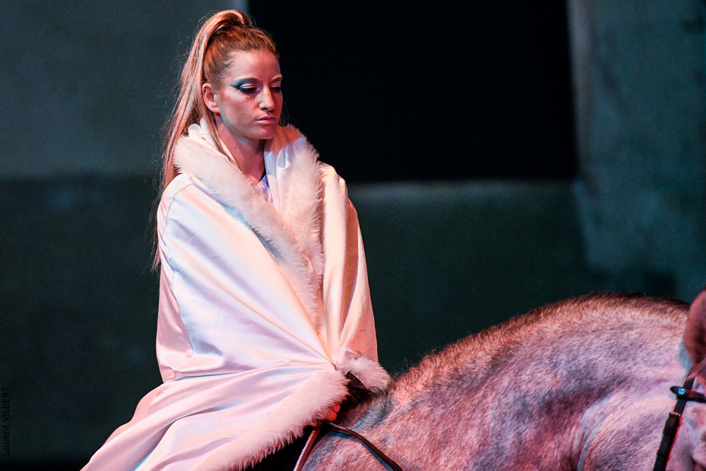 Haras Pin 20221103-0329