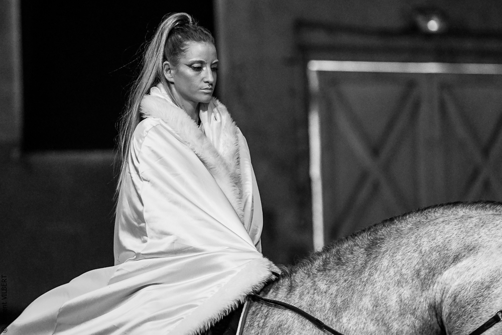 Haras Pin 20221103-0330