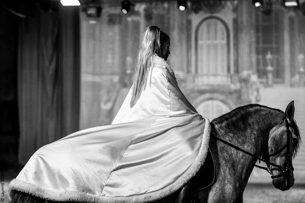 Haras Pin 20221103-0331