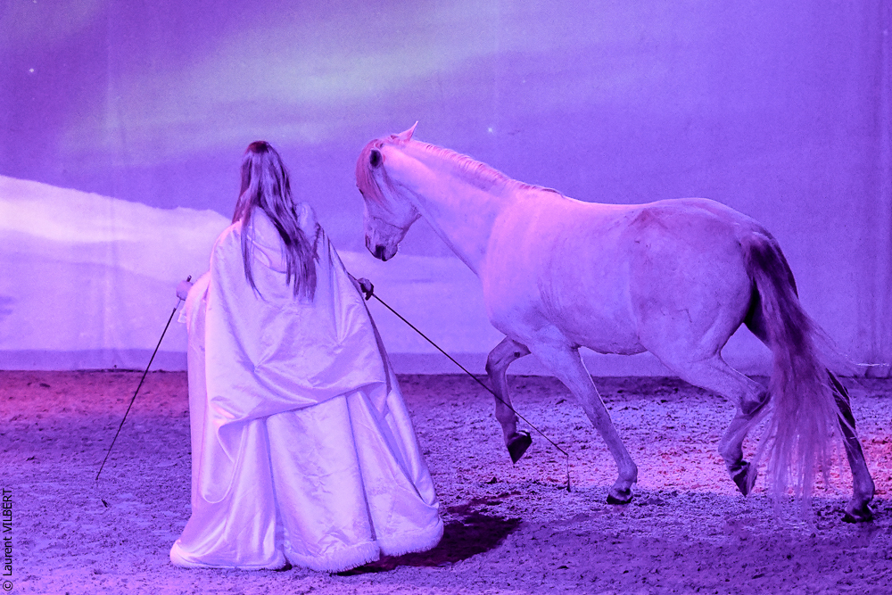 Haras Pin 20221103-0980