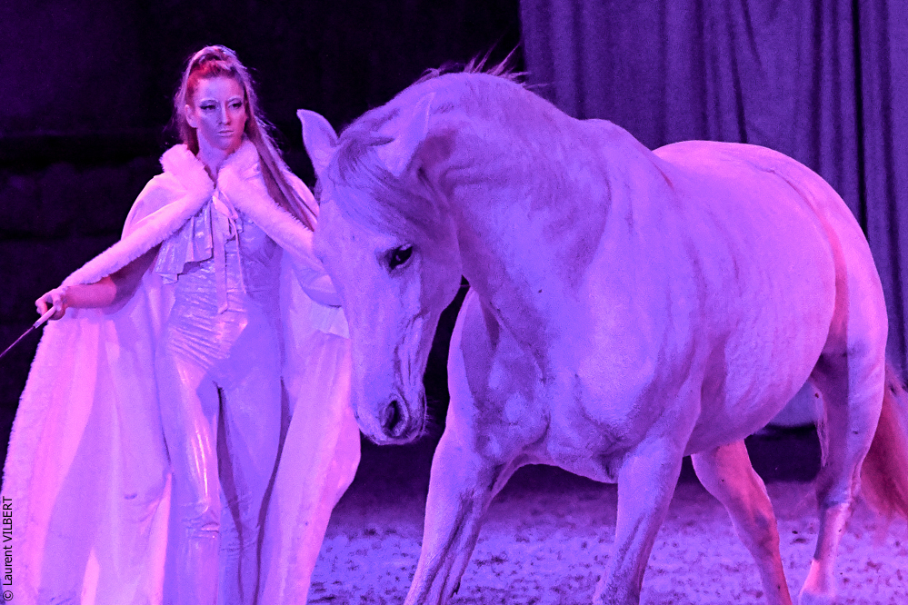 Haras Pin 20221103-0996