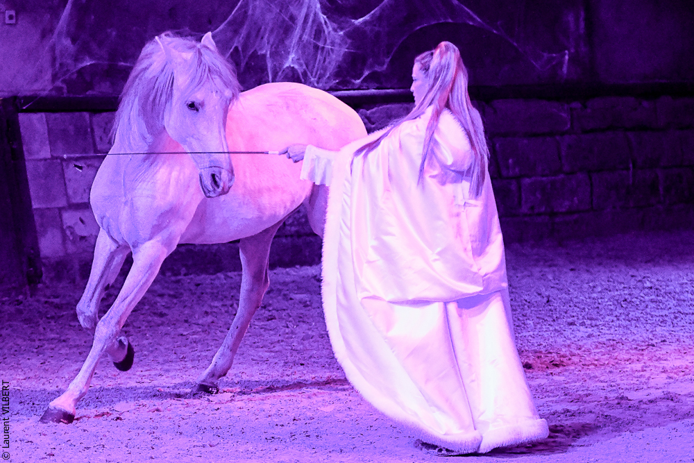 Haras Pin 20221103-1007