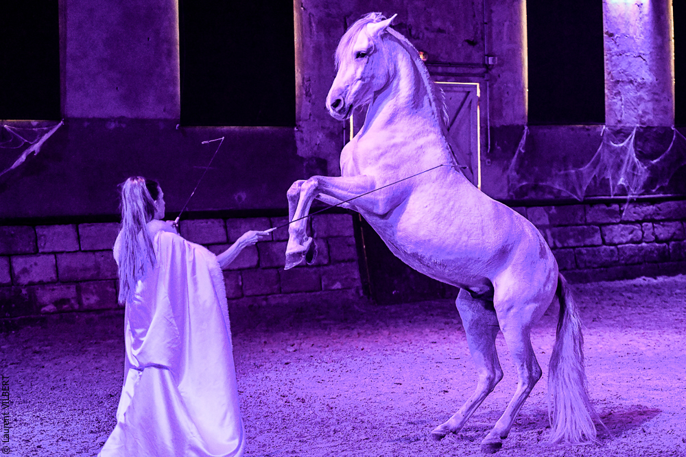 Haras Pin 20221103-1043