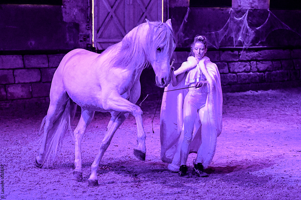 Haras Pin 20221103-1057