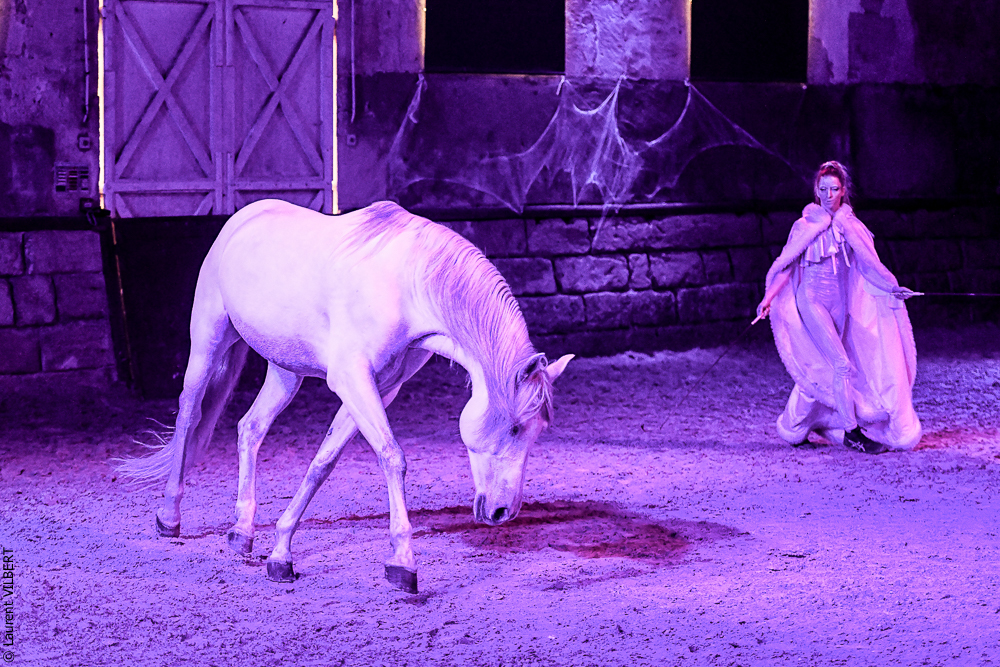 Haras Pin 20221103-1083