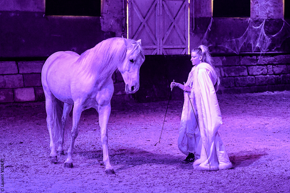 Haras Pin 20221103-1085