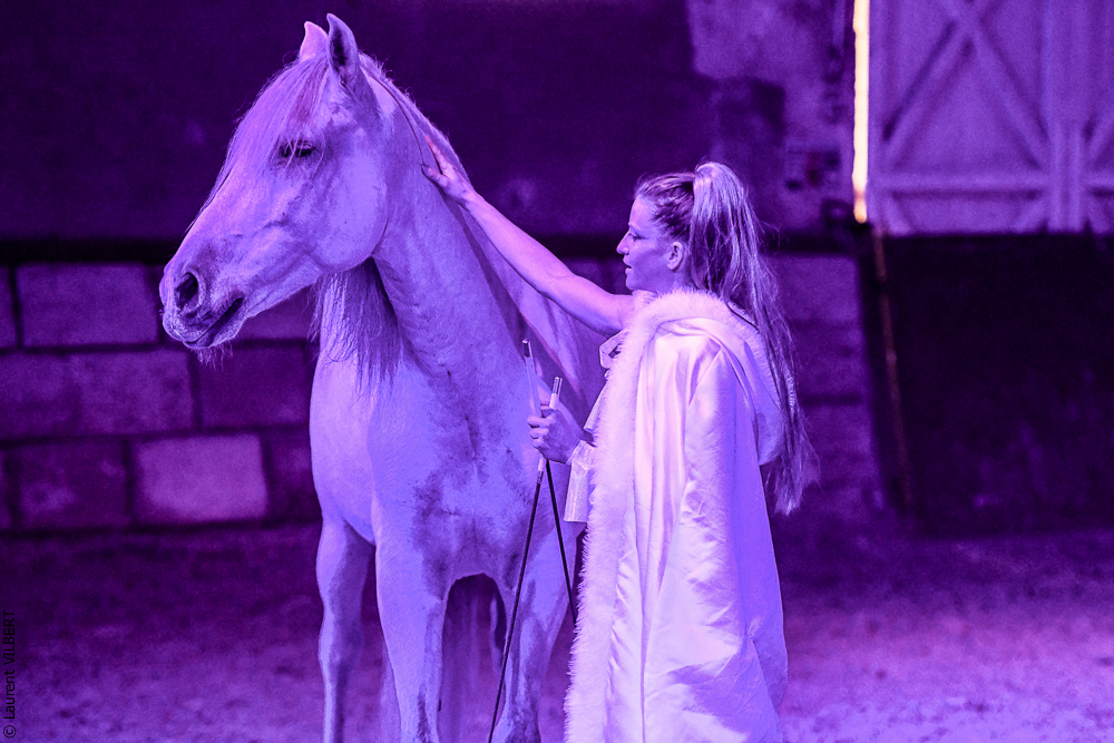 Haras Pin 20221103-1095