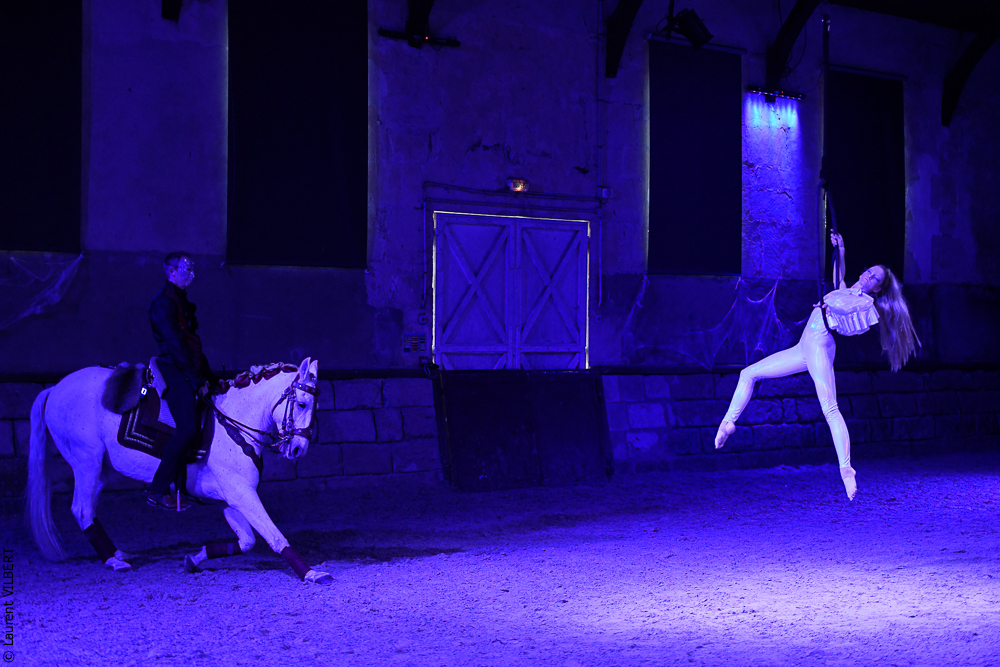 Haras Pin 20221103-1788