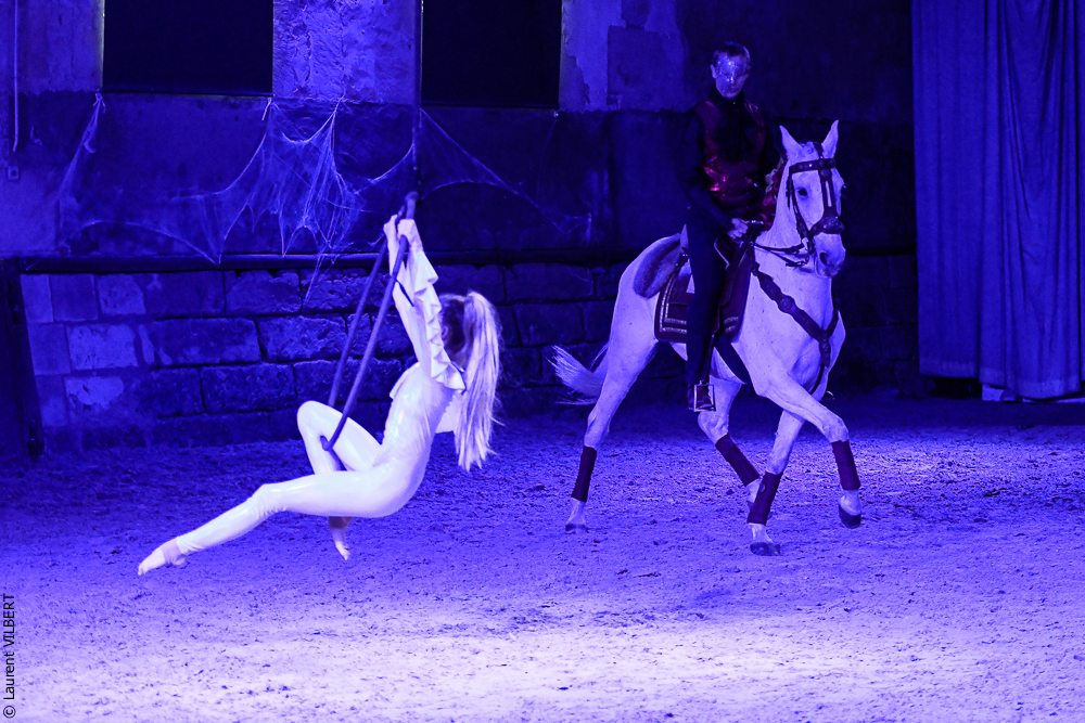 Haras Pin 20221103-1798