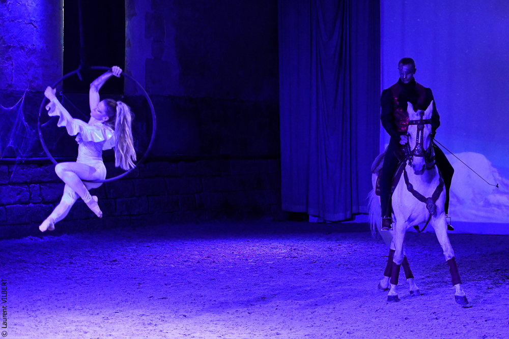 Haras Pin 20221103-1801