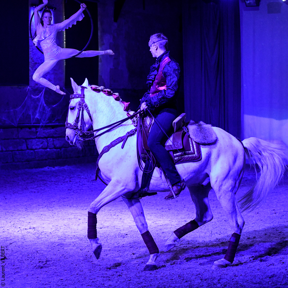 Haras Pin 20221103-1808