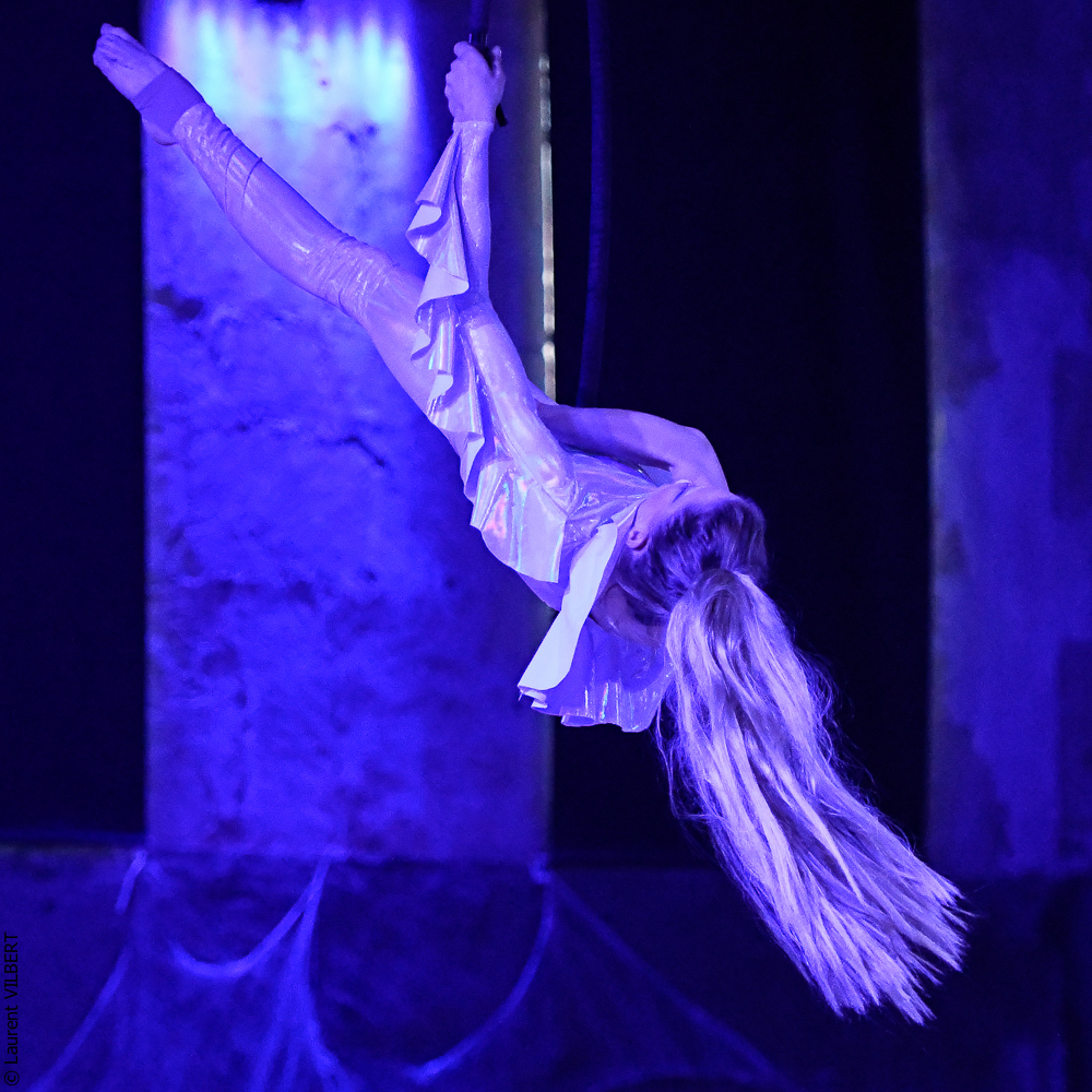 Haras Pin 20221103-1845