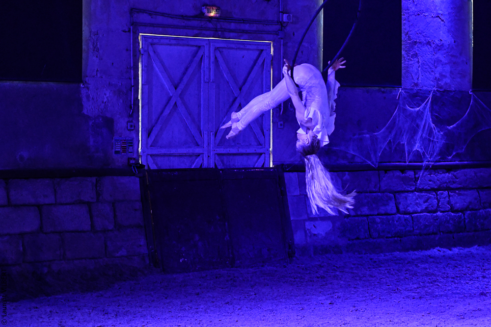 Haras Pin 20221103-1876