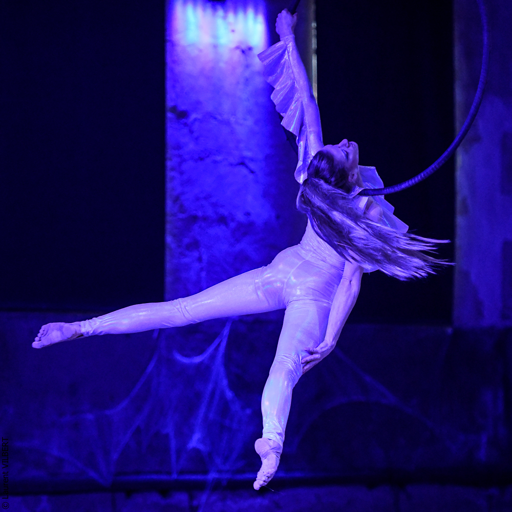 Haras Pin 20221103-1917