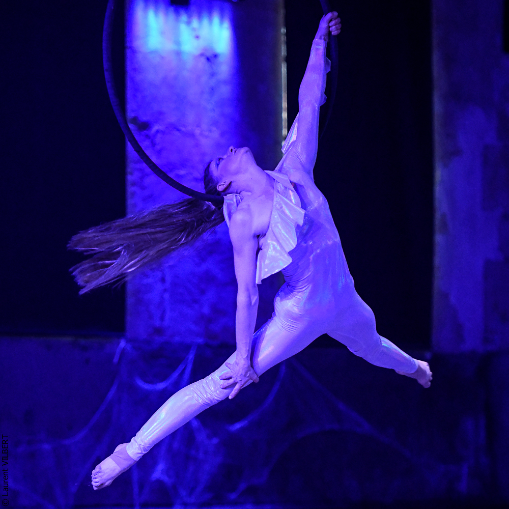 Haras Pin 20221103-1919