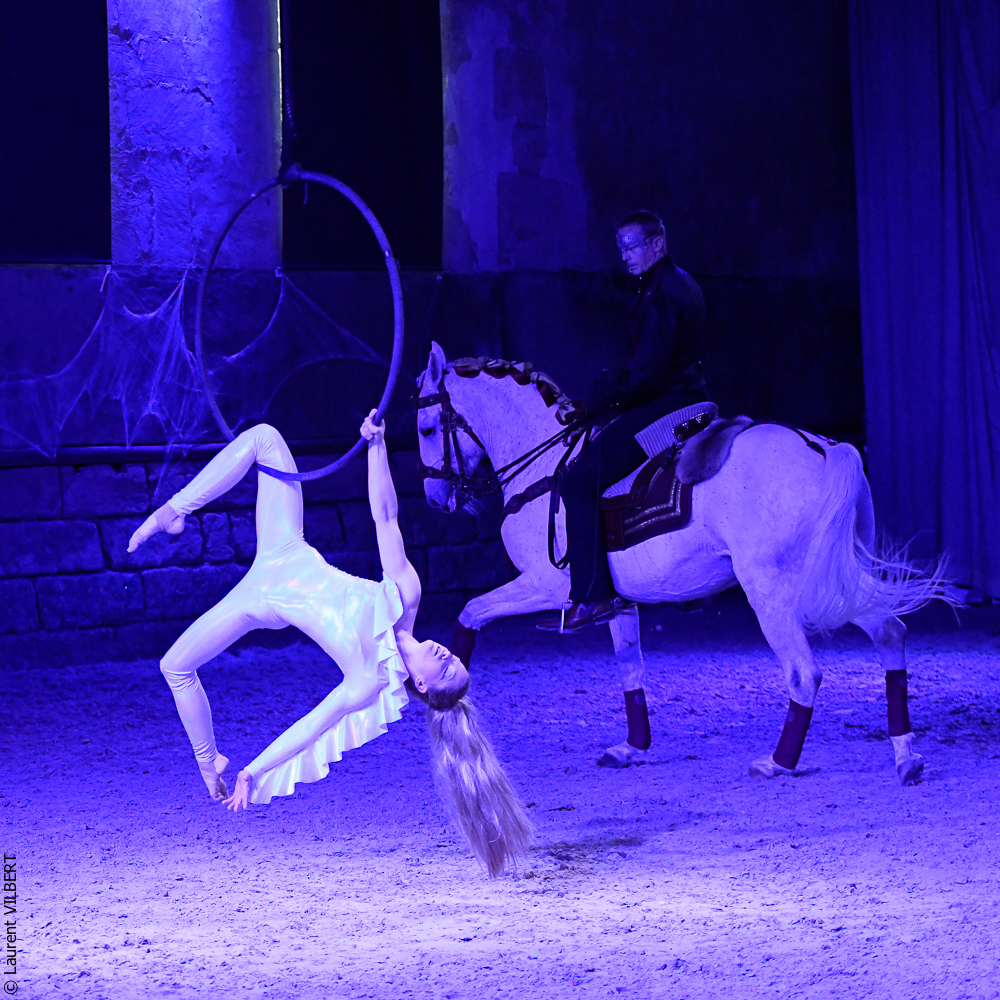 Haras Pin 20221103-1954