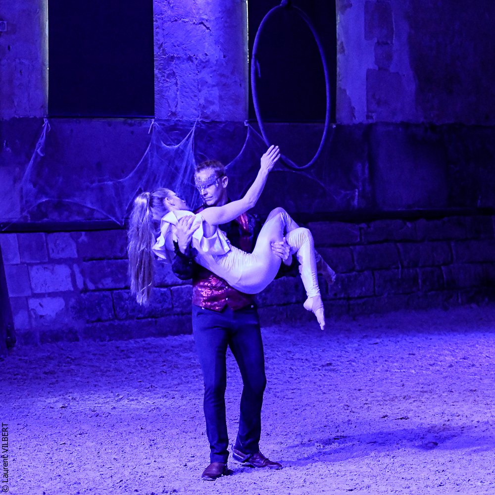 Haras Pin 20221103-1991