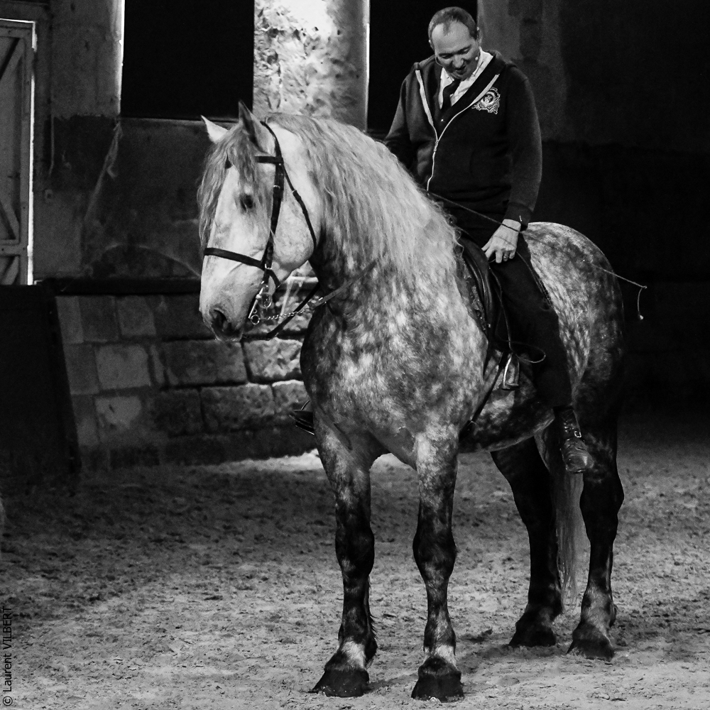 Haras Pin 20221103-0118