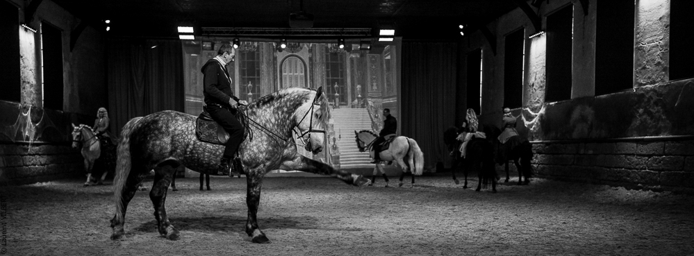 Haras Pin 20221103-0201