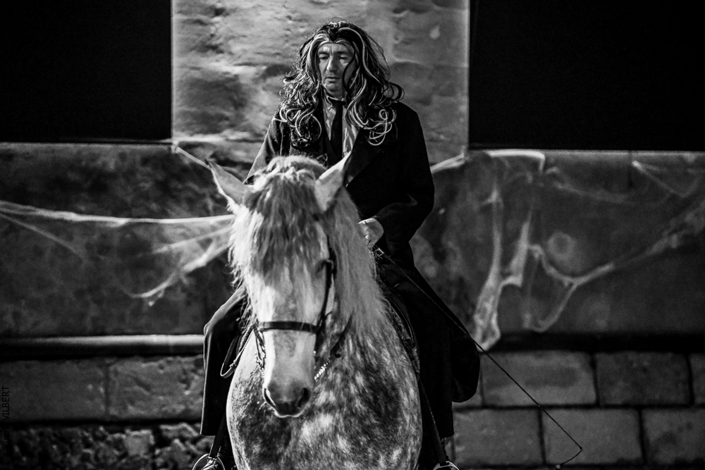 Haras Pin 20221103-1467