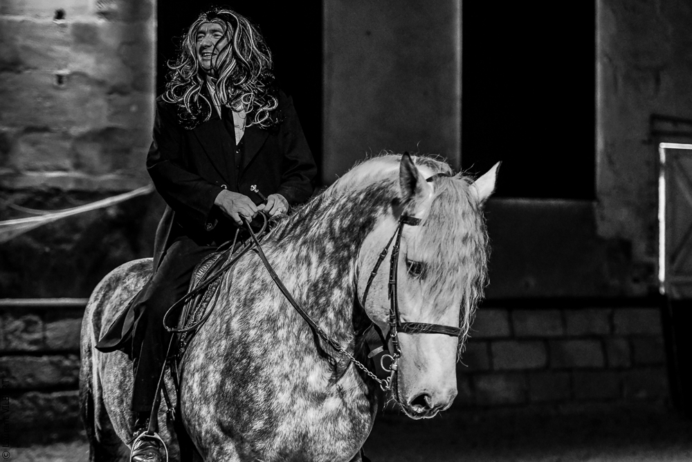 Haras Pin 20221103-1469