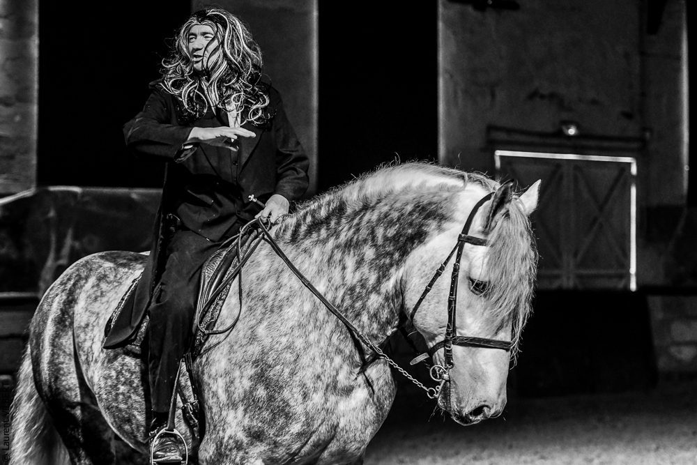 Haras Pin 20221103-1470