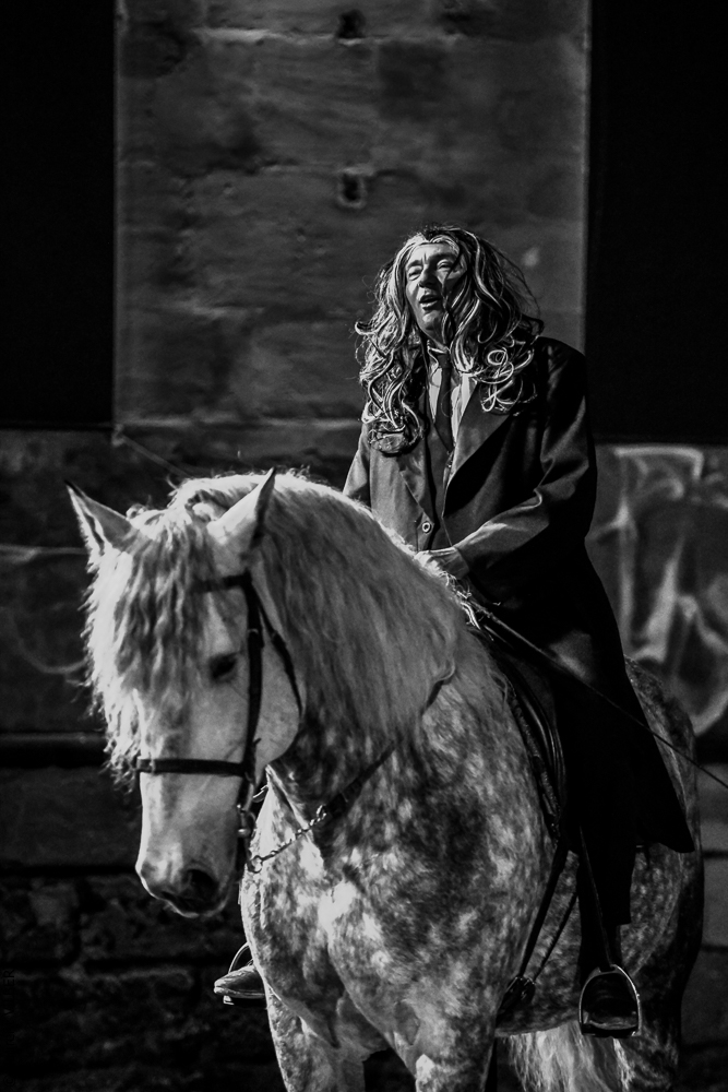 Haras Pin 20221103-1481