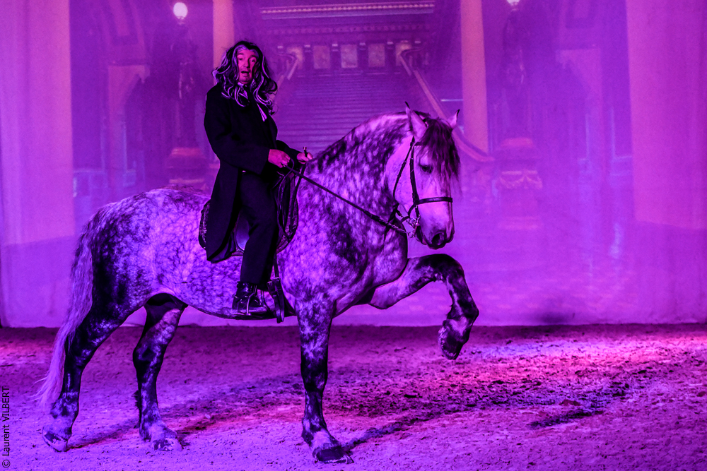 Haras Pin 20221103-1491