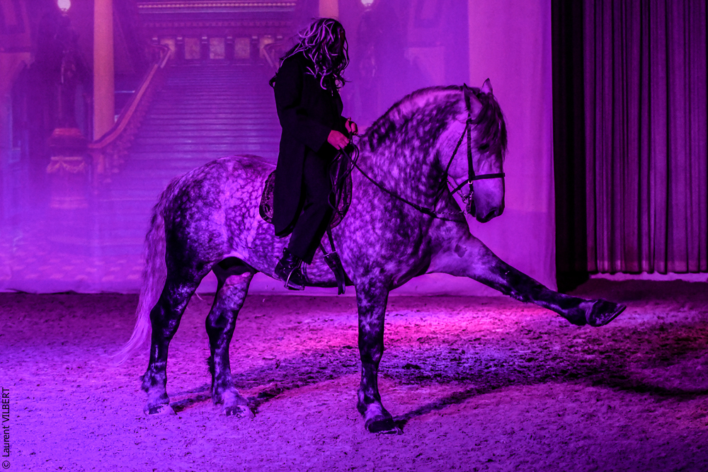 Haras Pin 20221103-1496