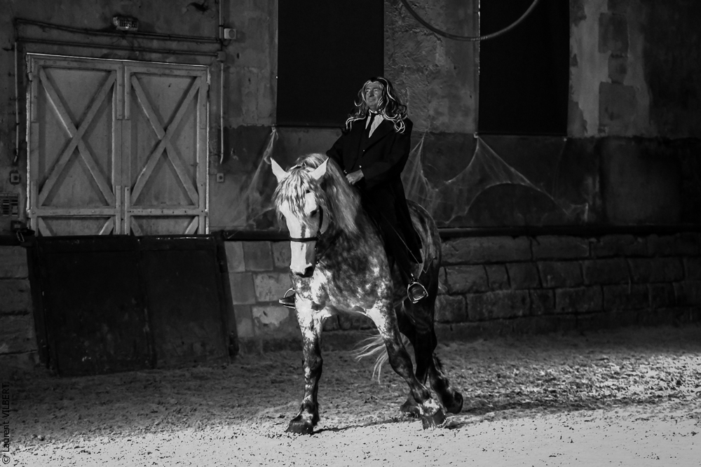 Haras Pin 20221103-1499