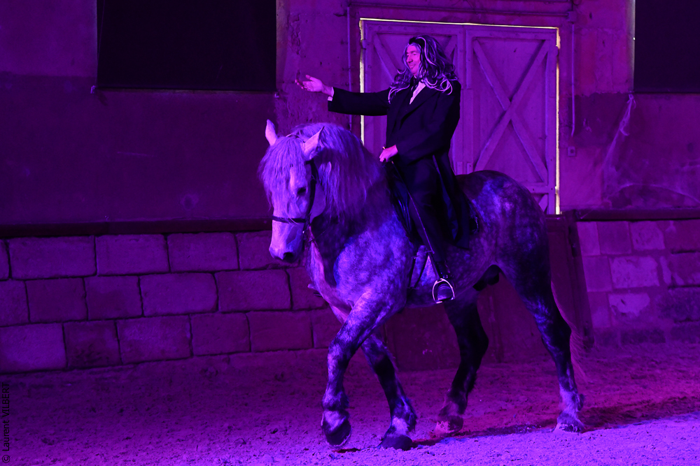 Haras Pin 20221103-1503