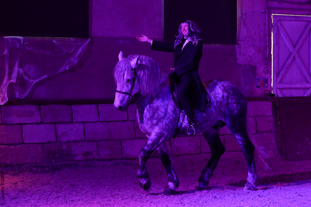 Haras Pin 20221103-1505