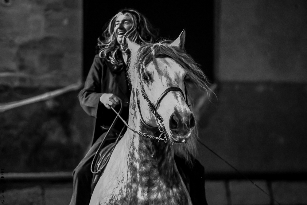 Haras Pin 20221103-1556