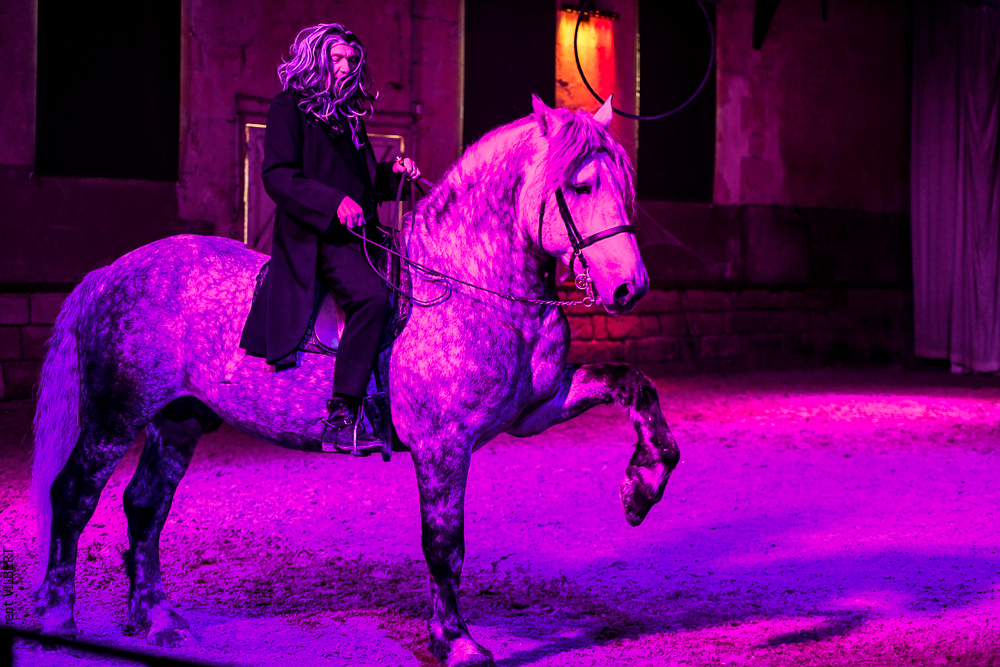 Haras Pin 20221103-1561