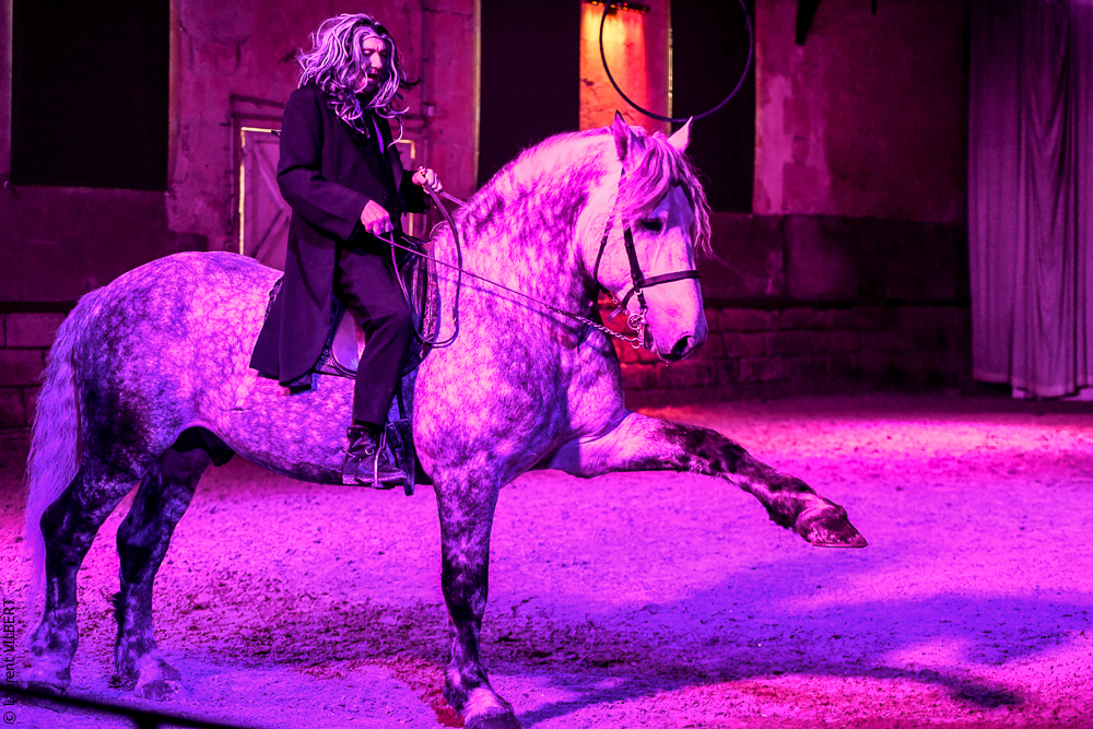 Haras Pin 20221103-1562