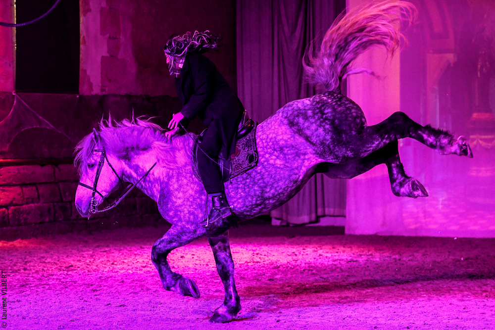 Haras Pin 20221103-1571